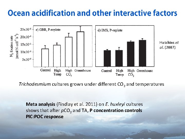 Hutchins et al. (2007) Trichodesmium cultures grown under different CO 2 and temperatures Meta