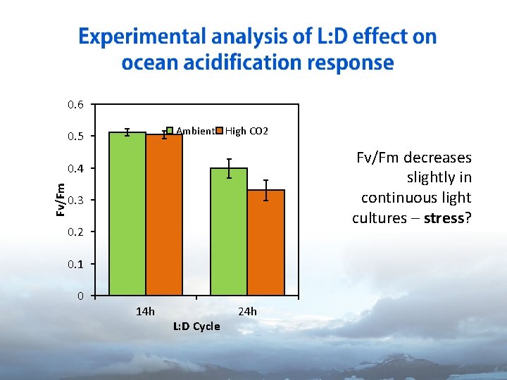 0. 6 Ambient High CO 2 0. 5 Fv/Fm decreases slightly in continuous light