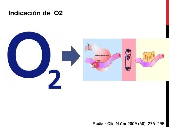 Indicación de O 2 Pediatr Clin N Am 2009 (56): 275– 296 