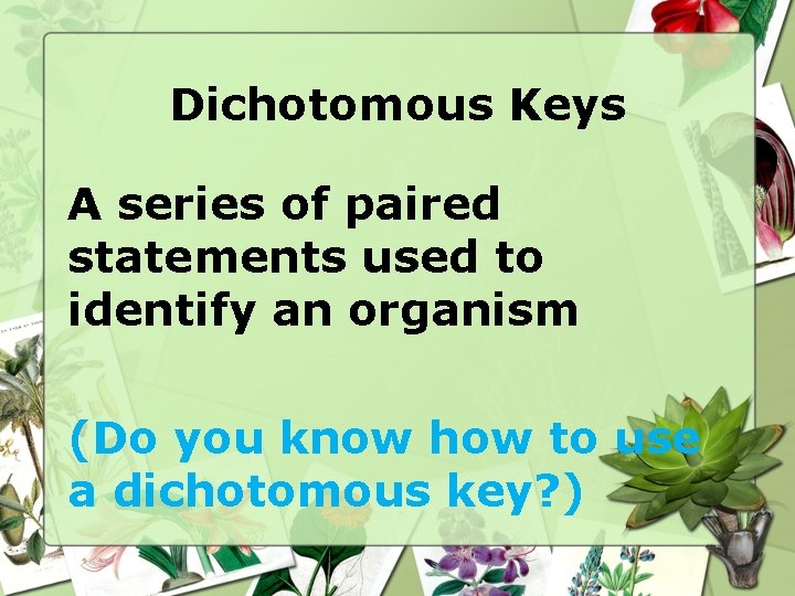 Dichotomous Keys A series of paired statements used to identify an organism (Do you