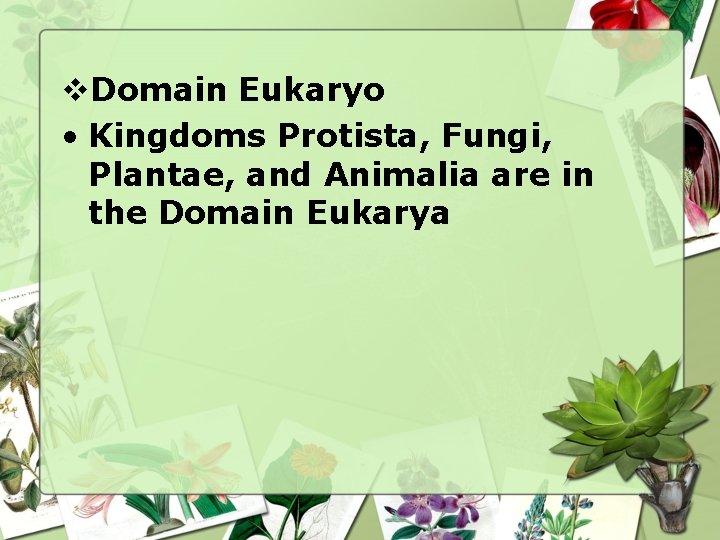 v. Domain Eukaryo • Kingdoms Protista, Fungi, Plantae, and Animalia are in the Domain v. Domain Eukaryo • Kingdoms Protista, Fungi, Plantae, and Animalia are in the Domain