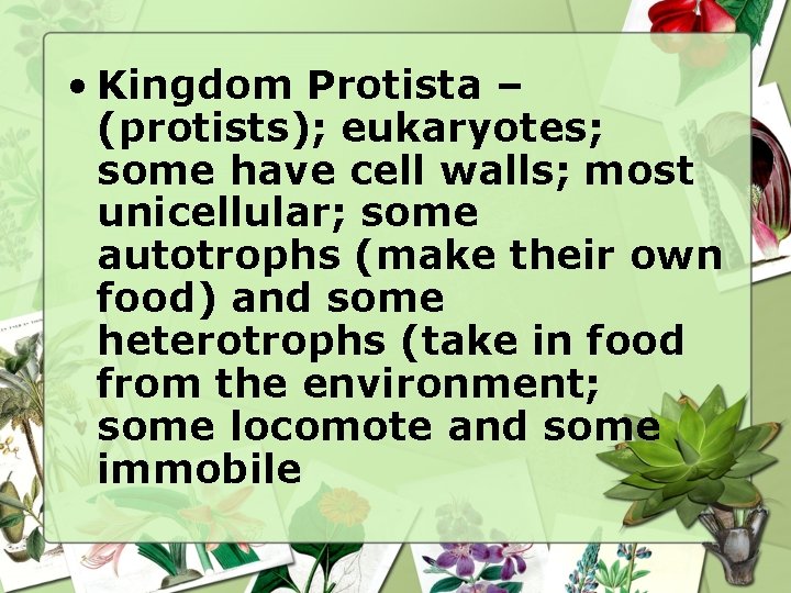  • Kingdom Protista – (protists); eukaryotes; some have cell walls; most unicellular; some