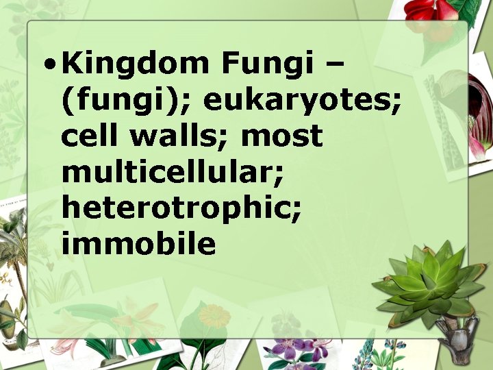  • Kingdom Fungi – (fungi); eukaryotes; cell walls; most multicellular; heterotrophic; immobile 