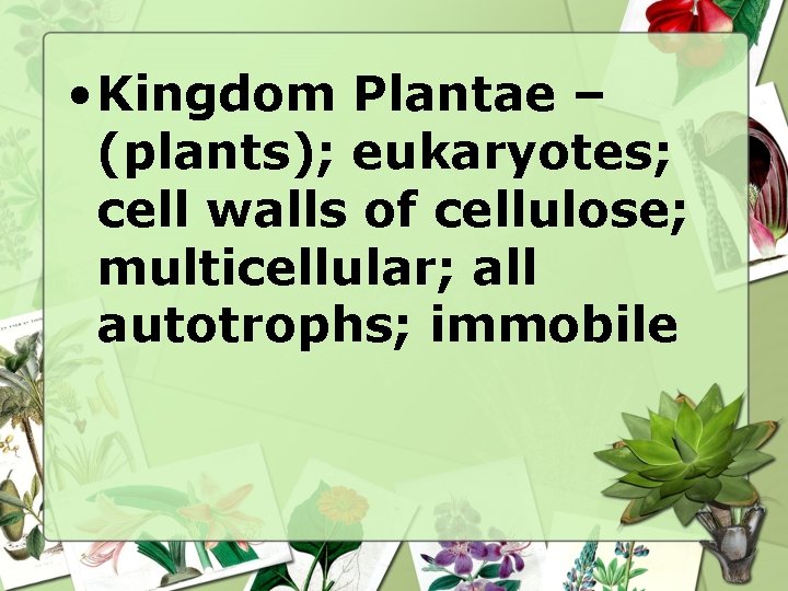 • Kingdom Plantae – (plants); eukaryotes; cell walls of cellulose; multicellular; all autotrophs; • Kingdom Plantae – (plants); eukaryotes; cell walls of cellulose; multicellular; all autotrophs;