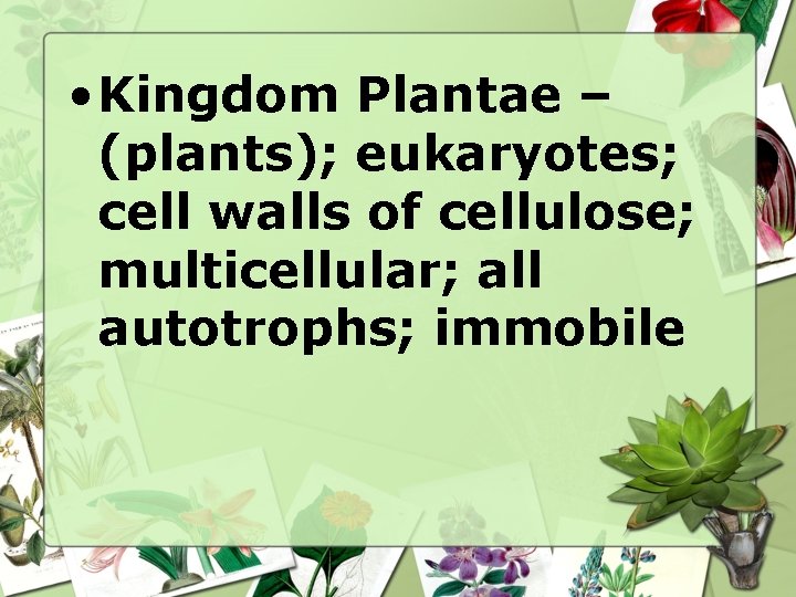  • Kingdom Plantae – (plants); eukaryotes; cell walls of cellulose; multicellular; all autotrophs;