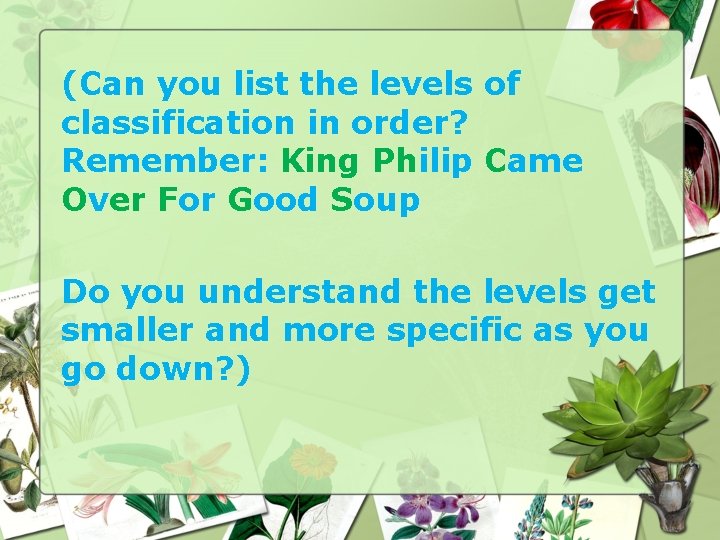 (Can you list the levels of classification in order? Remember: King Philip Came Over (Can you list the levels of classification in order? Remember: King Philip Came Over