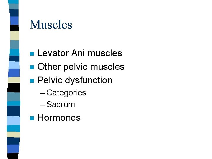 Muscles n n n Levator Ani muscles Other pelvic muscles Pelvic dysfunction – Categories