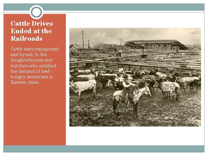 Cattle Drives Ended at the Railroads Cattle were transported east by rail, to the Cattle Drives Ended at the Railroads Cattle were transported east by rail, to the