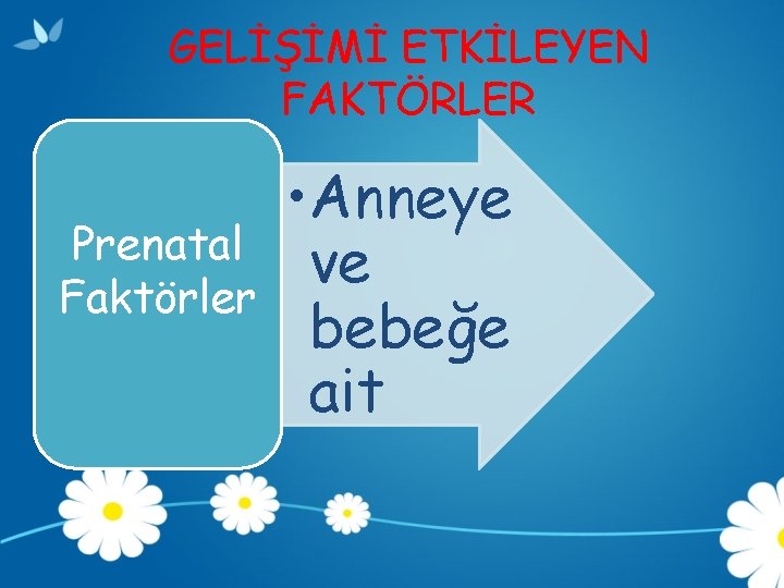 GELİŞİMİ ETKİLEYEN FAKTÖRLER Prenatal Faktörler • Anneye ve bebeğe ait 