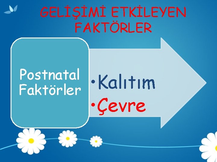 GELİŞİMİ ETKİLEYEN FAKTÖRLER Postnatal Faktörler • Kalıtım • Çevre 