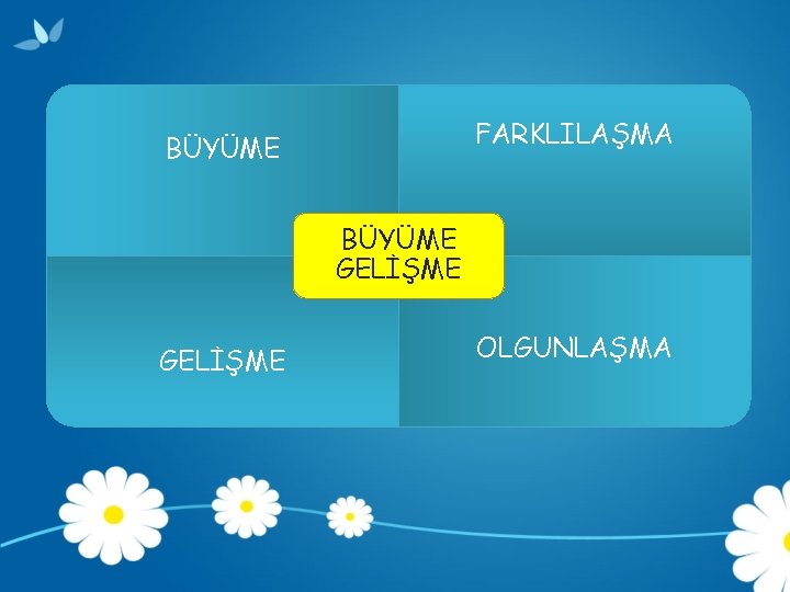 FARKLILAŞMA BÜYÜME GELİŞME OLGUNLAŞMA 