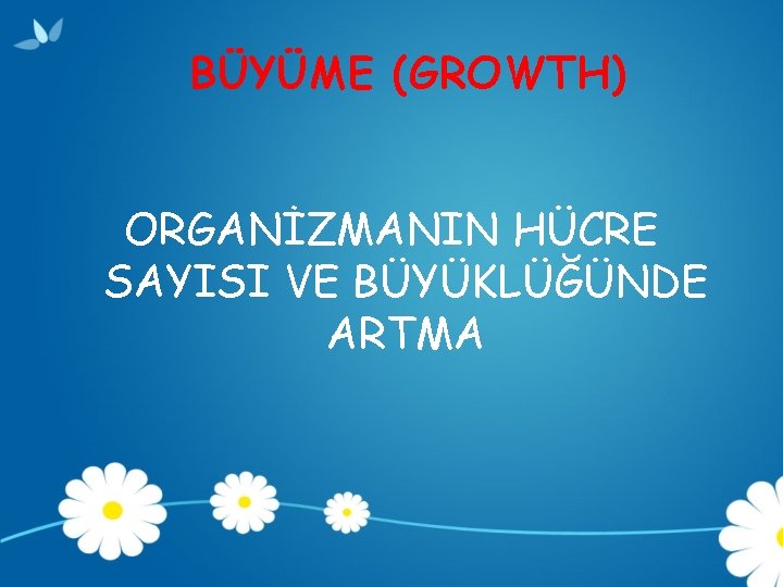BÜYÜME (GROWTH) ORGANİZMANIN HÜCRE SAYISI VE BÜYÜKLÜĞÜNDE ARTMA 