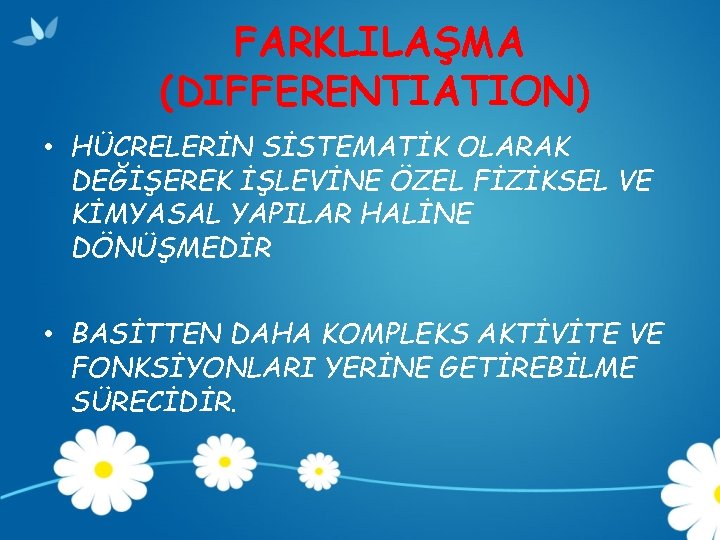 FARKLILAŞMA (DIFFERENTIATION) • HÜCRELERİN SİSTEMATİK OLARAK DEĞİŞEREK İŞLEVİNE ÖZEL FİZİKSEL VE KİMYASAL YAPILAR HALİNE