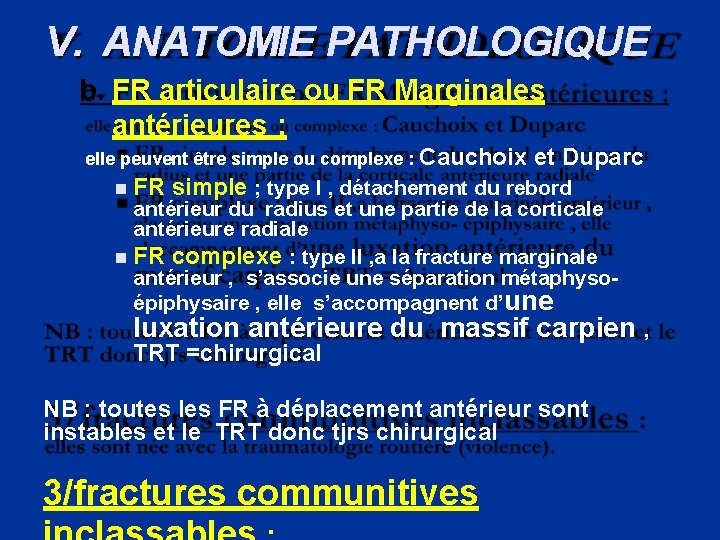 V. ANATOMIE PATHOLOGIQUE b. FR articulaire ou FR Marginales antérieures : elle peuvent être