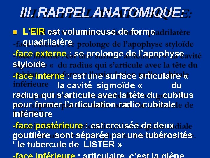 III. RAPPEL ANATOMIQUE: L’EIR est volumineuse de forme quadrilatère -face externe : se prolonge