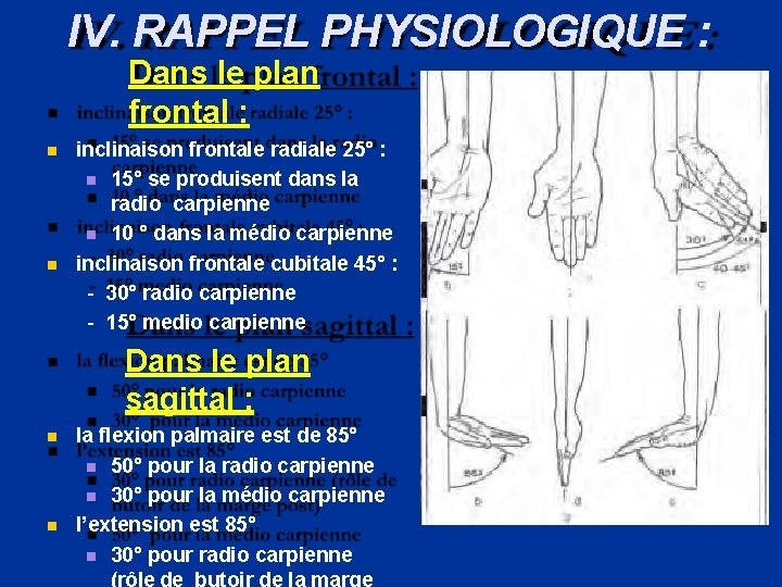 IV. RAPPEL PHYSIOLOGIQUE : Dans le plan frontal : inclinaison frontale radiale 25° :