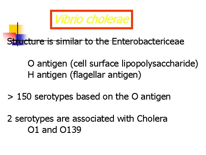 Vibrio cholerae Structure is similar to the Enterobactericeae O antigen (cell surface lipopolysaccharide) H