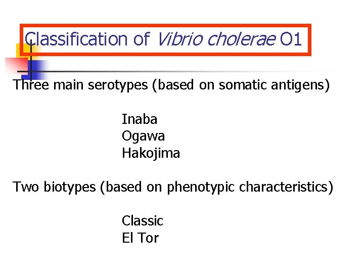 Classification of Vibrio cholerae O 1 Three main serotypes (based on somatic antigens) Inaba