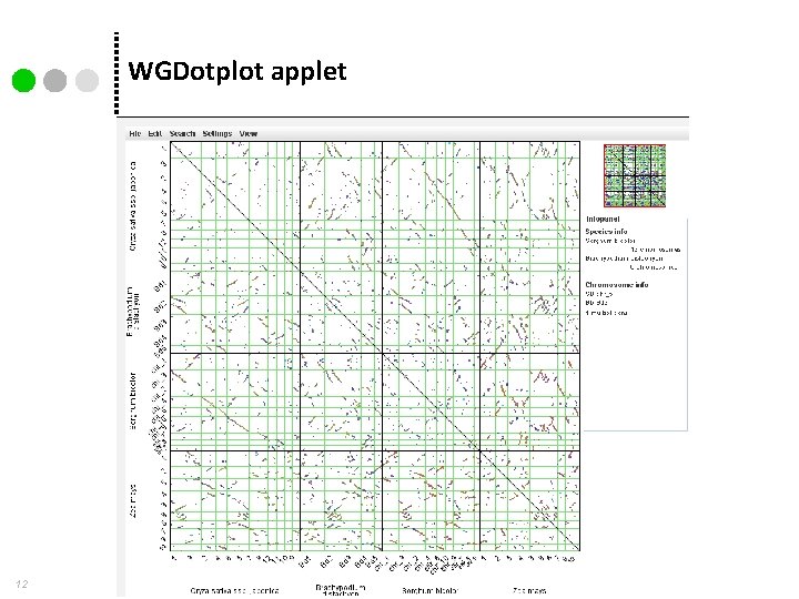 WGDotplot applet 12 