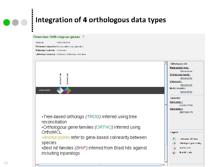 Integration of 4 orthologous data types • Tree-based orthologs (TROG) inferred using tree reconciliation