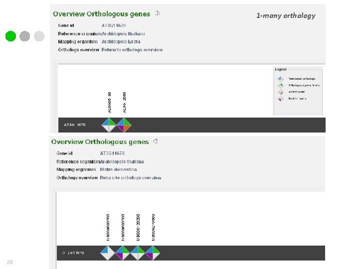 1 -many orthology 25 