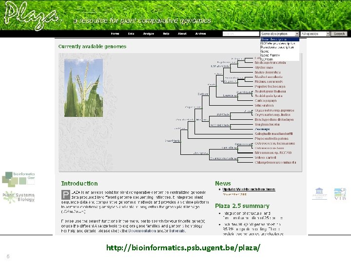 PLAZA, a resource for plant comparative genomics http: //bioinformatics. psb. ugent. be/plaza/ 5 