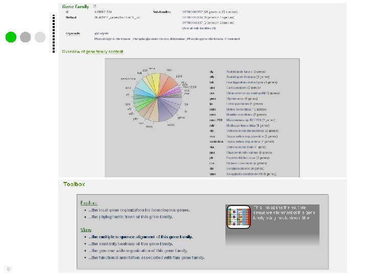 Gene family page 8 