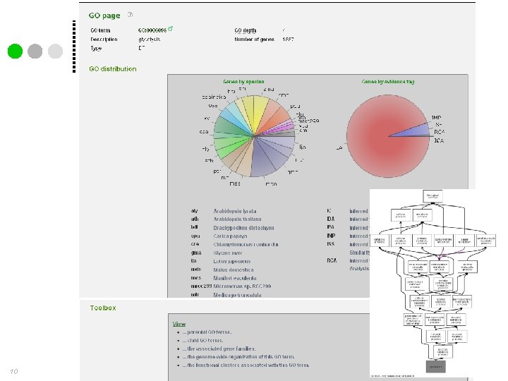 Gene Ontology annotation 10 