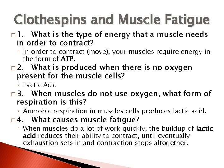 Clothespins and Muscle Fatigue � 1. What is the type of energy that a