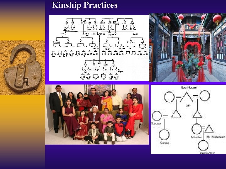 Kinship Practices 