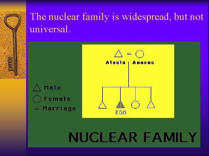 The nuclear family is widespread, but not universal. 