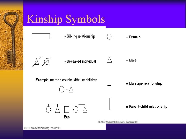 Kinship Symbols 