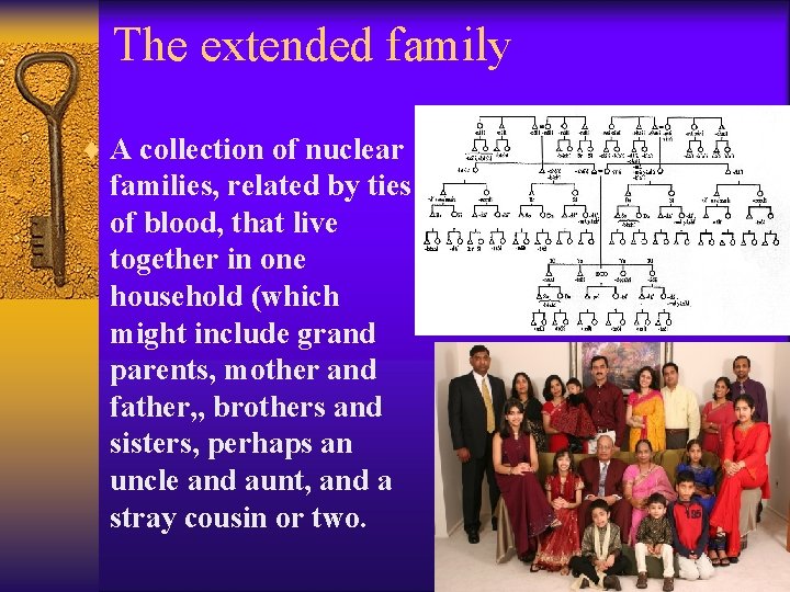 The extended family ¨ A collection of nuclear families, related by ties of blood,