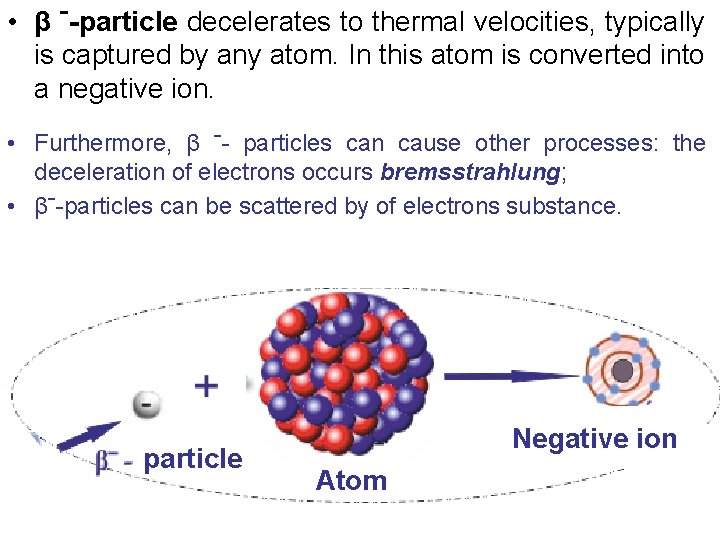  • β ˉ-particle decelerates to thermal velocities, typically is captured by any atom.