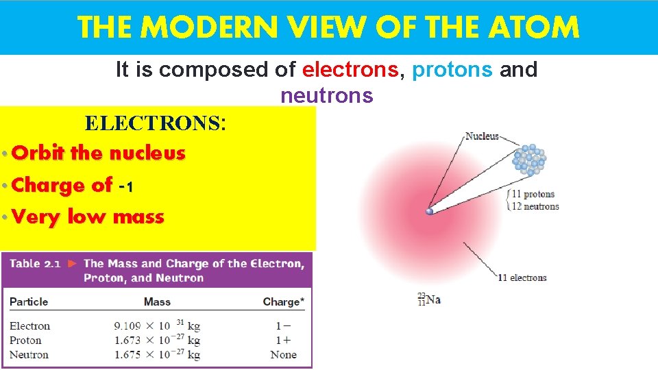 THE MODERN VIEW OF THE ATOM It is composed of electrons, protons and neutrons