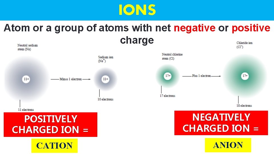 IONS Atom or a group of atoms with net negative or positive charge POSITIVELY