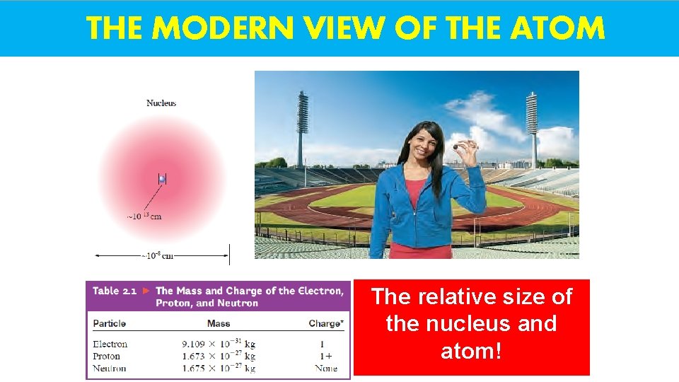 THE MODERN VIEW OF THE ATOM The relative size of the nucleus and atom!