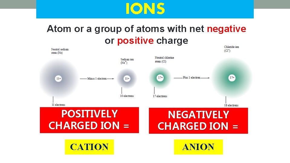 IONS Atom or a group of atoms with net negative or positive charge POSITIVELY