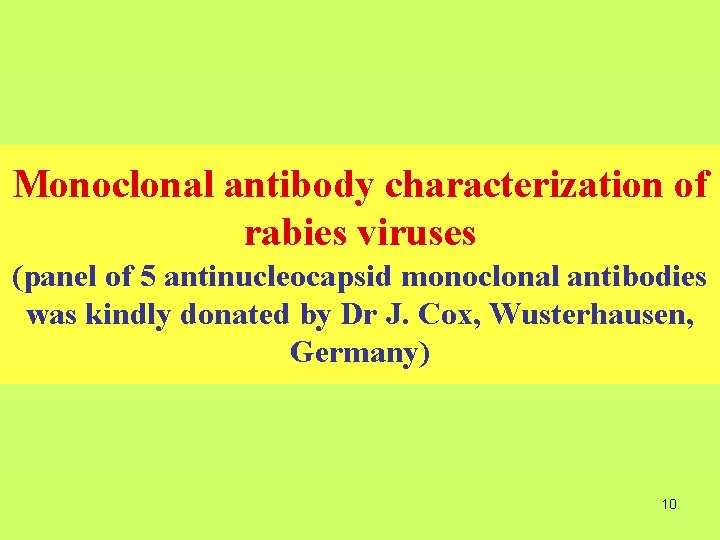 Monoclonal antibody characterization of rabies viruses (panel of 5 antinucleocapsid monoclonal antibodies was kindly