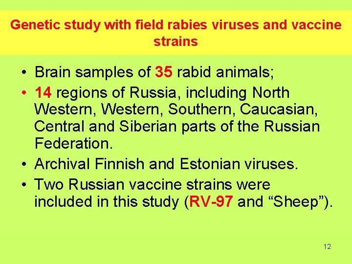 Genetic study with field rabies viruses and vaccine strains • Brain samples of 35