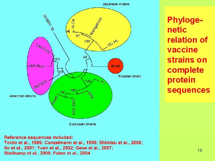 Phylogenetic relation of vaccine strains on complete protein sequences 16 