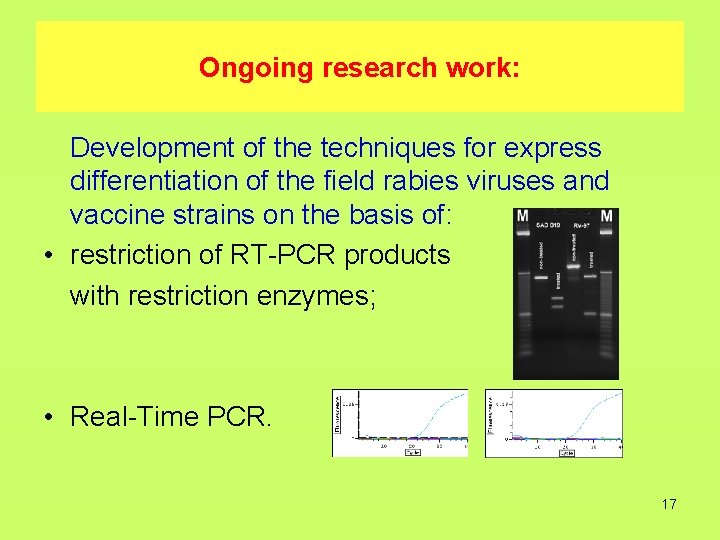 Ongoing research work: Development of the techniques for express differentiation of the field rabies