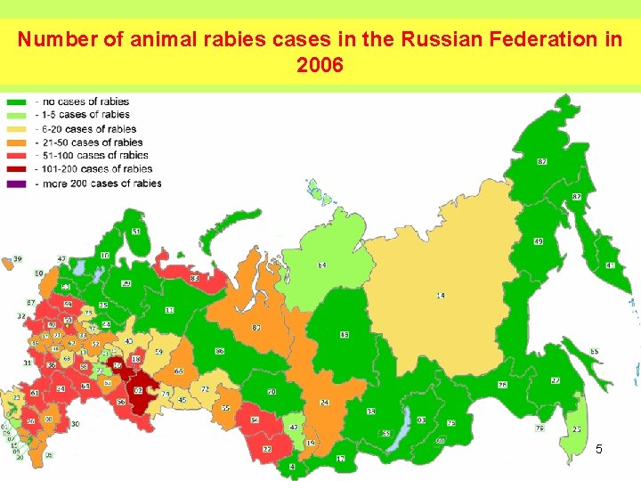 Number of animal rabies cases in the Russian Federation in 2006 5 