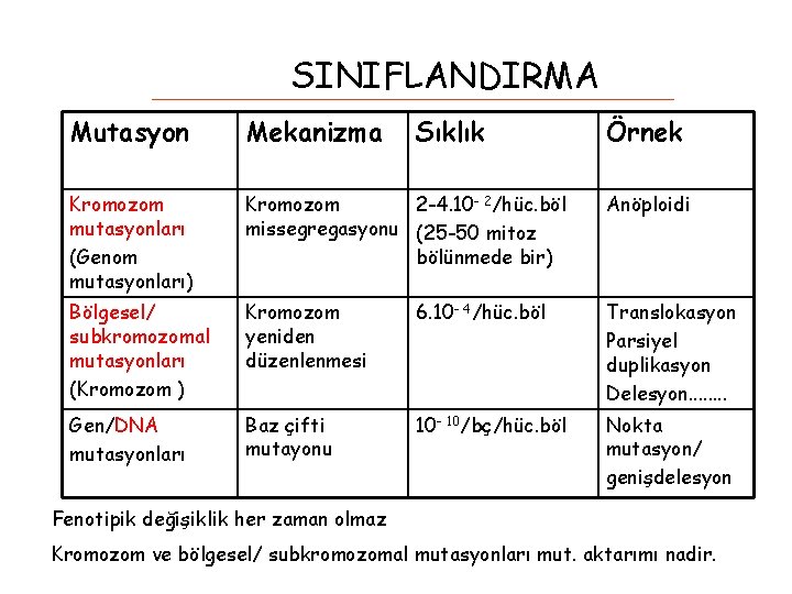 SINIFLANDIRMA Mutasyon Mekanizma Sıklık Örnek Kromozom mutasyonları (Genom mutasyonları) Kromozom 2 -4. 10 -