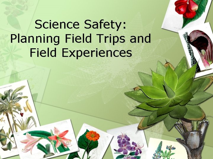 Science Safety: Planning Field Trips and Field Experiences 