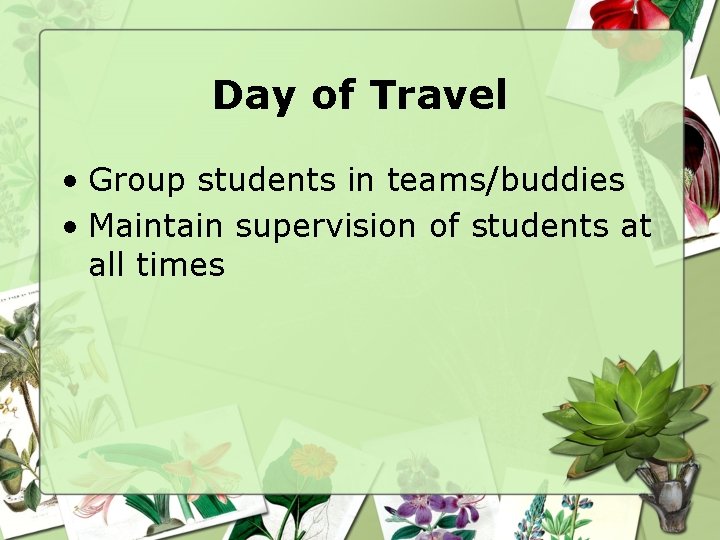 Day of Travel • Group students in teams/buddies • Maintain supervision of students at