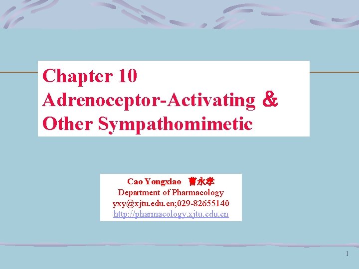 Chapter 10 Adrenoceptor-Activating ＆ Other Sympathomimetic Cao Yongxiao 曹永孝 Department of Pharmacology yxy@xjtu. edu.
