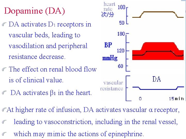  Dopamine (DA) DA activates D 1 receptors in vascular beds, leading to vasodilation