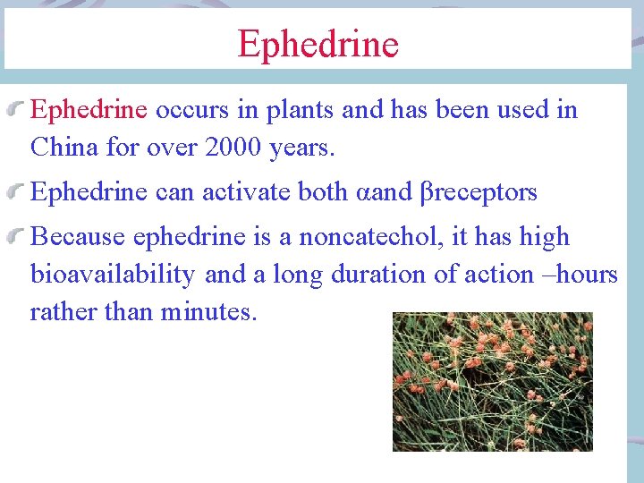 Ephedrine occurs in plants and has been used in China for over 2000 years.