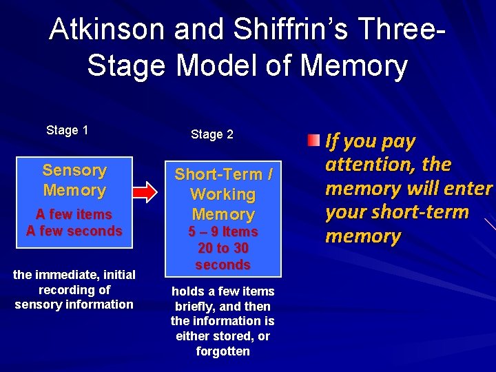 Atkinson and Shiffrin’s Three. Stage Model of Memory Stage 1 Sensory Memory A few